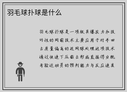 羽毛球扑球是什么